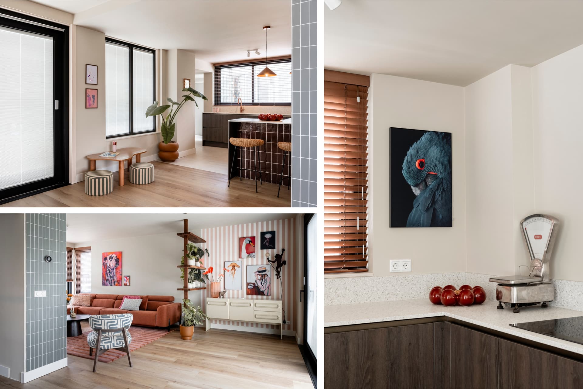 Kopie van Kopie van Ontwerp zonder titel (1).jpg Styling in woonkamer en keuken